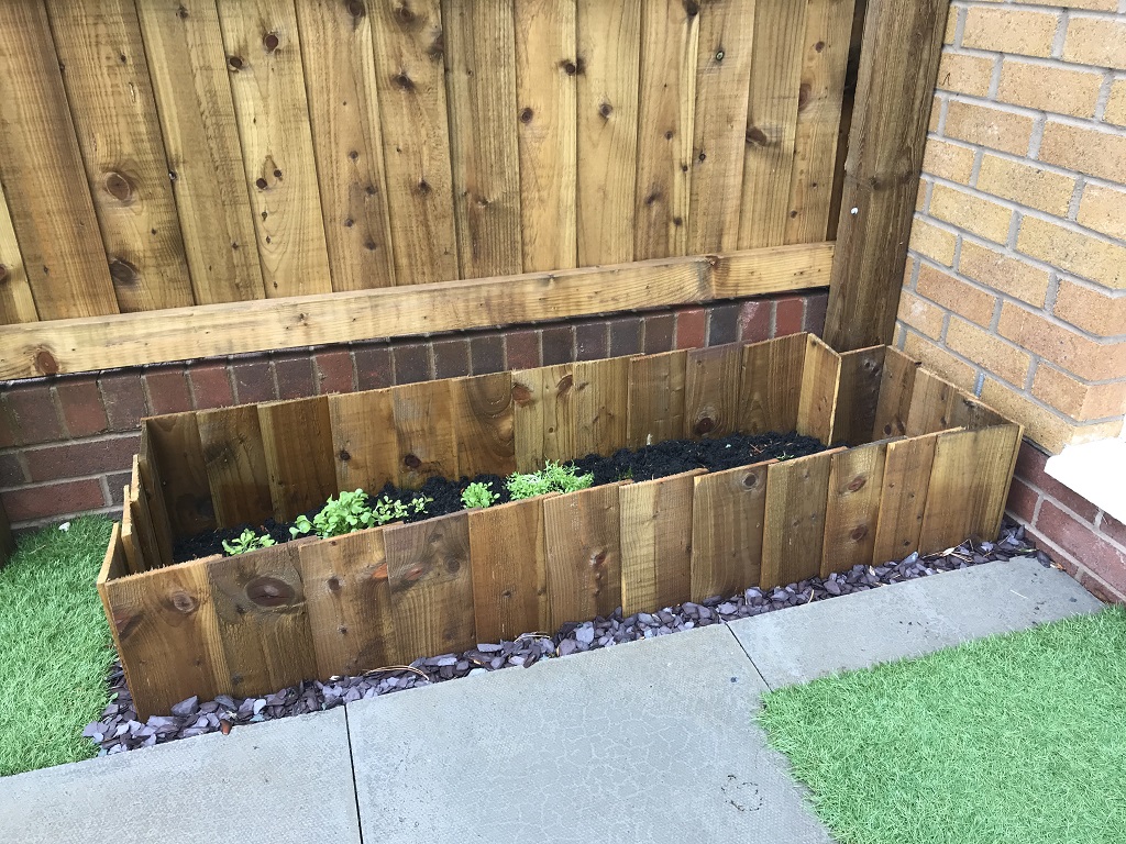 Vegetable plot for my wife