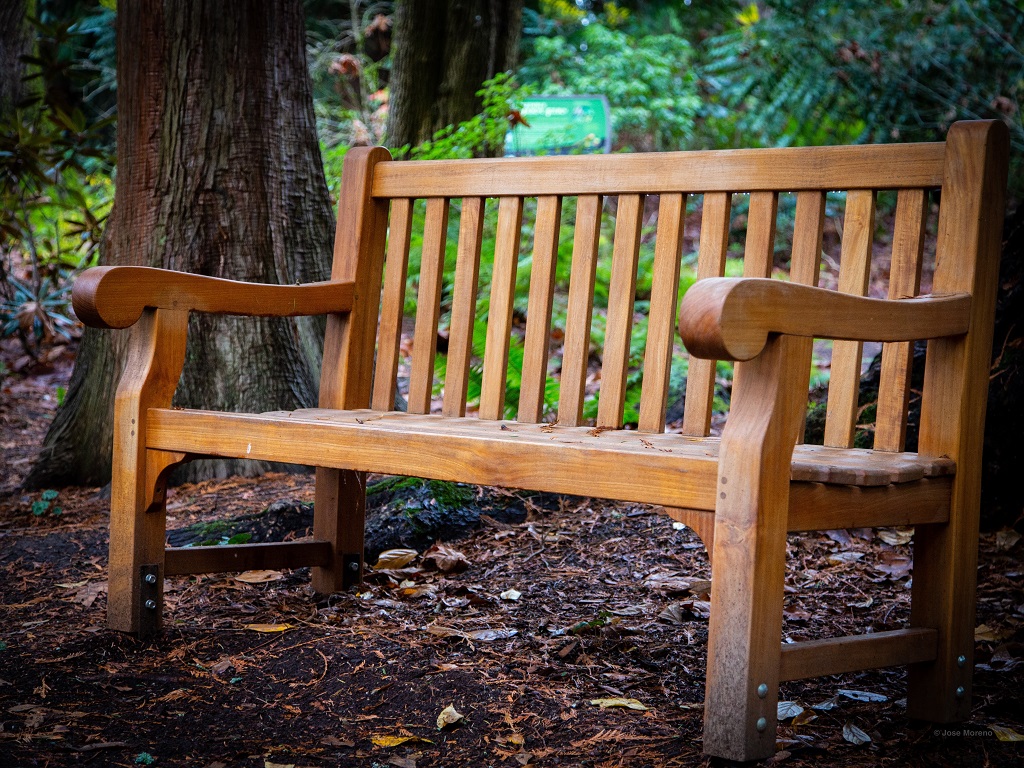 Garden Bench